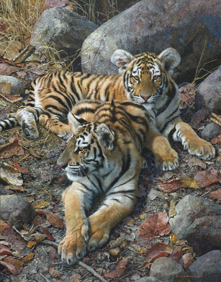 Reproductions of Carl Brenders paintings Endangered Ambassadors Reproductions of Carl Brenders paintings Endangered Ambassadors